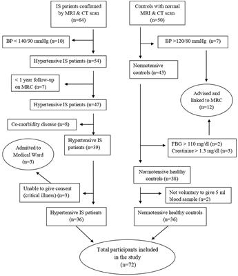 Angiotensin-converting enzyme gene insertion/deletion polymorphism and risk of ischemic stroke complication among patients with hypertension in the Ethiopian population